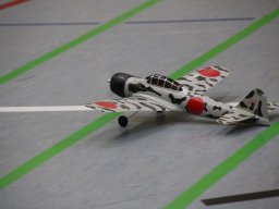 hallenfliegen26012025 45